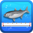 プログラムのアイコン：Fishing Ruler - 물고기 길이 재기