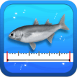 Fishing Ruler - 물고기 길이 재기