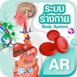 プログラムのアイコン：MIS Human Body AR Poster