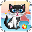 程序图标：Kitty pet day care salon