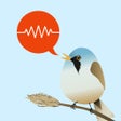 أيقونة البرنامج: Kvitteromat - Fågelsång I…