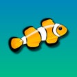 程序图标：Marine Aquarium 2.6