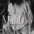 Иконка программы: MalibooMake