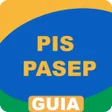 程序图标：PIS PASEP 2023 Consulta A…