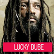 Icon of program: Lucky Dube Songs Offline