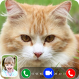 プログラムのアイコン：Cat Video Call/Fake Video…