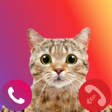 程序图标：fake cat call