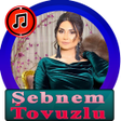 Ikona programu: şebnem tovuzlu 2020