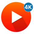 程序图标：Video Player: VIDFO
