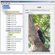 Icon of program: JShowBuilder