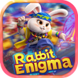 プログラムのアイコン：Rabbit Enigma