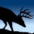 Programın simgesi: Cuddeback