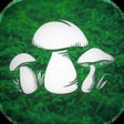 أيقونة البرنامج: The Mushroom Hunter