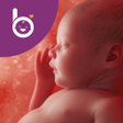 Programın simgesi: Babelli Schwangerschafts-…