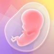 プログラムのアイコン：Nurture Pregnancy Week by…