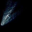 Иконка программы: Kona