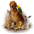 Ícone do programa: Animal Sounds