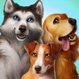 Icono de programa: Dog Hotel Premium