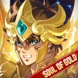 程序图标：Saint Seiya EX