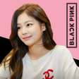 Ícone do programa: Blackpink Quiz Game 2021