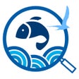 Symbol des Programms: GulfSeeLife