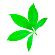程序图标：DoctorP - your plants doc…