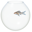 プログラムのアイコン：The Fish Bowl