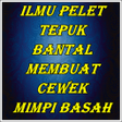 程序图标：Ilmu Pelet Tepuk Bantal M…