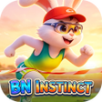 Icoon van programma: BNINSTINCT