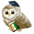 Icoon van programma: Learn Hindi