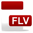 程序图标：Flash Player Extension