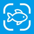 Ikon program: Fish Identifier: AI Scann…