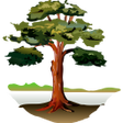 Ikon program: Trees