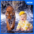 Ikona programu: Tiger Photo Frames