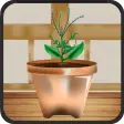Plants Shop : App of growing a