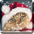 Иконка программы: Christmas Cat Live Wallpa…