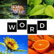 程序图标：Puzzle 4 Photos 1 Word Ne…