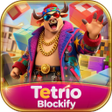 ไอคอนของโปรแกรม: Tetrio Blockify