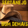 プログラムのアイコン：Sertanejo Raiz e Tradicio…