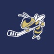 プログラムのアイコン：GT Hockey