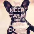 Keep Calm Love Dogs Wallpapers