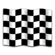 Ikon program: Racing