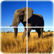 程序图标：Animal Puzzle