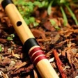程序图标：Bansuri Ringtones  Wallpa…
