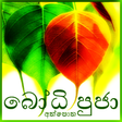 プログラムのアイコン：Bodhi Puja Athpotha