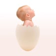 ไอคอนของโปรแกรม: It Starts with the Egg