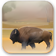 Icon of program: Bison