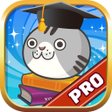 程序图标：超級單字王Pro  - 英檢多益托福 輕鬆學