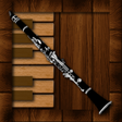 프로그램 아이콘: Professional Clarinet