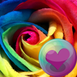 程序图标：Beautiful Roses HD Wallpa…